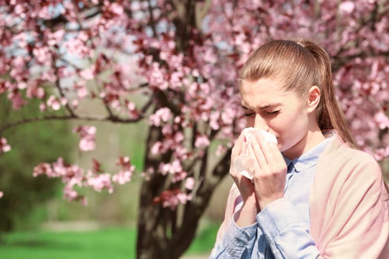 spring allergies